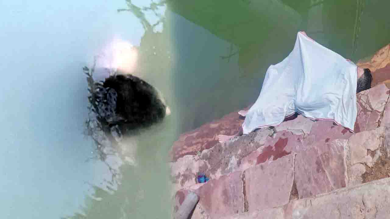 अज्ञात व्यक्ति का नर्मदा नदी में मिला शव, पुलिस जांच में जुटी