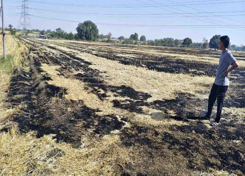 नरवाई में आग लगाने पर FIR दर्ज, आरोपी ने पड़ोसी किसानों को दी जान से मारने की धमकी